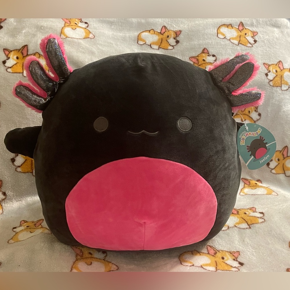 Jaelyn the axolotl